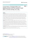 Conservation of polypyrimidine tract binding proteins and their putative target RNAs in several storage root crops