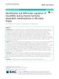 Identification and differential regulation of microRNAs during thyroid hormonedependent metamorphosis in Microhyla fissipes