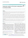 Systematic analysis of the lysine malonylome in common wheat