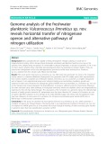 Genome analysis of the freshwater planktonic Vulcanococcus limneticus sp. nov. reveals horizontal transfer of nitrogenase operon and alternative pathways of nitrogen utilization