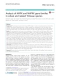 Analysis of MAPK and MAPKK gene families in wheat and related Triticeae species