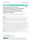 Dietary aquaculture by-product hydrolysates: Impact on the transcriptomic response of the intestinal mucosa of European seabass (Dicentrarchus labrax) fed low fish meal diets