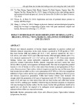 Impact of biochar on seed germination of oryza sativa, Brassica juncea, Vigna radiata, Solanum lycopersicum and Zea mays