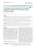 Chromosome level assembly and secondary metabolite potential of the parasitic fungus Cordyceps militaris