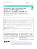 Identification and response analysis of xyloglucan endotransglycosylase/ hydrolases (XTH) family to fluoride and aluminum treatment in Camellia sinensis