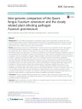 Inter-genome comparison of the Quorn fungus Fusarium venenatum and the closely related plant infecting pathogen Fusarium graminearum