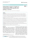 Independent impacts of aging on mitochondrial DNA quantity and quality in humans