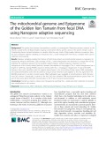 The mitochondrial genome and Epigenome of the Golden lion Tamarin from fecal DNA using Nanopore adaptive sequencing