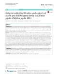 Genome-wide identification and analysis of MAPK and MAPKK gene family in Chinese jujube (Ziziphus jujuba Mill.)