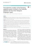 Transcriptomics analysis of the flowering regulatory genes involved in the herbicide resistance of Asia minor bluegrass (Polypogon fugax)