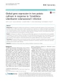 Global gene expression in two potato cultivars in response to ‘Candidatus Liberibacter solanacearum’ infection