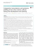 Comparative transcriptome and proteome profiling of two Citrus sinensis cultivars during fruit development and ripening