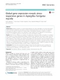 Global gene expression reveals stressresponsive genes in Aspergillus fumigatus mycelia