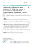 Lowered dietary phosphorus affects intestinal and renal gene expression to maintain mineral homeostasis with immunomodulatory implications in weaned piglets