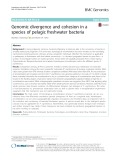Genomic divergence and cohesion in a species of pelagic freshwater bacteria