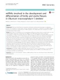 MiRNAs involved in the development and differentiation of fertile and sterile flowers in Viburnum macrocephalum f. keteleeri