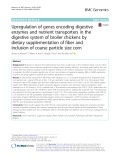 Upregulation of genes encoding digestive enzymes and nutrient transporters in the digestive system of broiler chickens by dietary supplementation of fiber and inclusion of coarse particle size corn