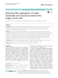 Genome-wide segregation of single nucleotide and structural variants into single cancer cells