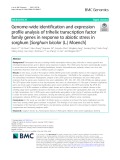 Genome-wide identification and expression profile analysis of trihelix transcription factor family genes in response to abiotic stress in sorghum [Sorghum bicolor (L.) Moench]