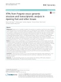 XTHs from Fragaria vesca: Genomic structure and transcriptomic analysis in ripening fruit and other tissues