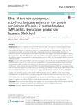 Effect of two non-synonymous ecto-5′-nucleotidase variants on the genetic architecture of inosine 5′-monophosphate (IMP) and its degradation products in Japanese Black beef
