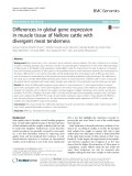 Differences in global gene expression in muscle tissue of Nellore cattle with divergent meat tenderness