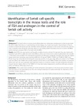 Identification of Sertoli cell-specific transcripts in the mouse testis and the role of FSH and androgen in the control of Sertoli cell activity