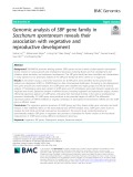 Genomic analysis of SBP gene family in Saccharum spontaneum reveals their association with vegetative and reproductive development