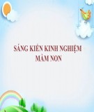 Sáng kiến kinh nghiệm Mầm non: Một số biện pháp chỉ đạo đội ngũ giáo viên thực hiện hiệu quả chương trình giáo dục mầm non