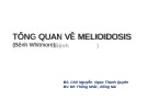 Bài giảng Tổng quan về Melioidosis (bệnh Whitmore) - BS. CKII Nguyễn  Ngọc Thanh Quyên