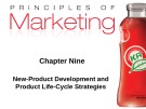 Lecture Principles of Marketing: Chapter 9