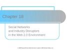Lecture Electronic commerce - Chapter 18: Social Networks and Industry Disruptors in the Web 2.0 Environment