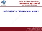 Bài giảng Tài chính doanh nghiệp: Chương 1 - ĐH Kinh Tế (ĐHQG Hà Nội)