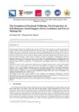 The Formation of Facebook Wellbeing: The Perspectives of Self-disclosure, Social Support, Stress, Loneliness and Fear of Missing Out