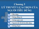 Bài giảng môn Kinh tế học - Chương 3: Lý thuyết lựa chọn của người tiêu dùng