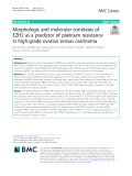 Morphologic and molecular correlates of EZH2 as a predictor of platinum resistance in high-grade ovarian serous carcinoma