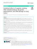 Combined effects of cigarette smoking, DNA methyltransferase 3B genetic polymorphism, and DNA damage on lung cancer