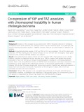 Co-expression of YAP and TAZ associates with chromosomal instability in human cholangiocarcinoma