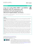 Long non-coding RNAs HERH-1 and HERH-4 facilitate cyclin A2 expression and accelerate cell cycle progression in advanced hepatocellular carcinoma