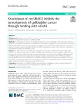 Knockdown of circSMAD2 inhibits the tumorigenesis of gallbladder cancer through binding with eIF4A3
