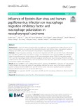 Influence of Epstein–Barr virus and human papillomavirus infection on macrophage migration inhibitory factor and macrophage polarization in nasopharyngeal carcinoma
