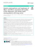 Genetic polymorphisms and haplotypes of ERCC1 and ERCC2 associated with quality of life, depression, and anxiety status among patients with lung cancer