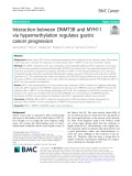 Interaction between DNMT3B and MYH11 via hypermethylation regulates gastric cancer progression