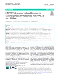 LINC00958 promotes bladder cancer carcinogenesis by targeting miR-490-3p and AURKA