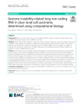 Genome instability-related long non-coding RNA in clear renal cell carcinoma determined using computational biology