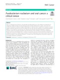 Fusobacterium nucleatum and oral cancer: A critical review