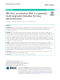 TBX5-AS1, an enhancer RNA, is a potential novel prognostic biomarker for lung adenocarcinoma