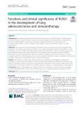 Functions and clinical significance of KLRG1 in the development of lung adenocarcinoma and immunotherapy