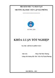 Khóa luận tốt nghiệp Kế toán Kiểm toán: Hoàn thiện công tác kế toán doanh thu, chi phí và xác định kết quả kinh doanh tại công ty Cổ Phần Đầu Tư Tân Vũ Minh