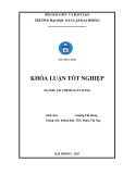 Khóa luận tốt nghiệp Tài chính Ngân hàng: Giải pháp nâng cao hiệu quả hoạt động tín dụng tại ngân hàng Thương mại Cổ phần Đông Nam Á – Chi nhánh Hải Phòng